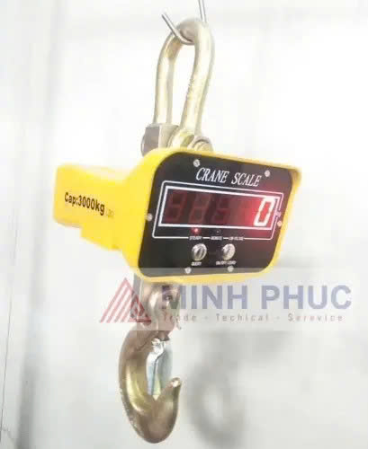 thuê cân điện tử