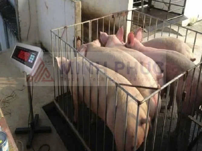 cân điện tử đồng nai