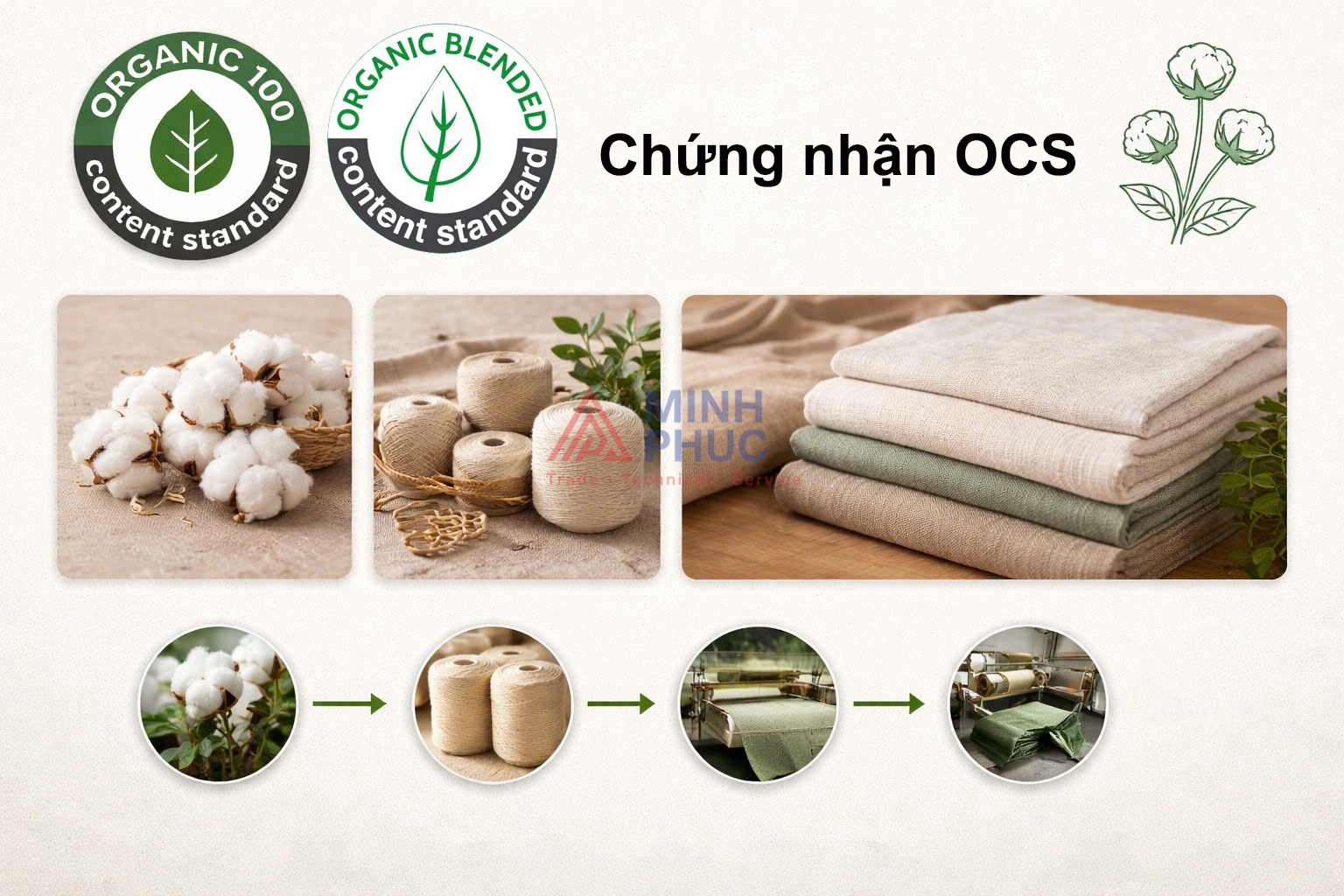 chứng nhận OCS