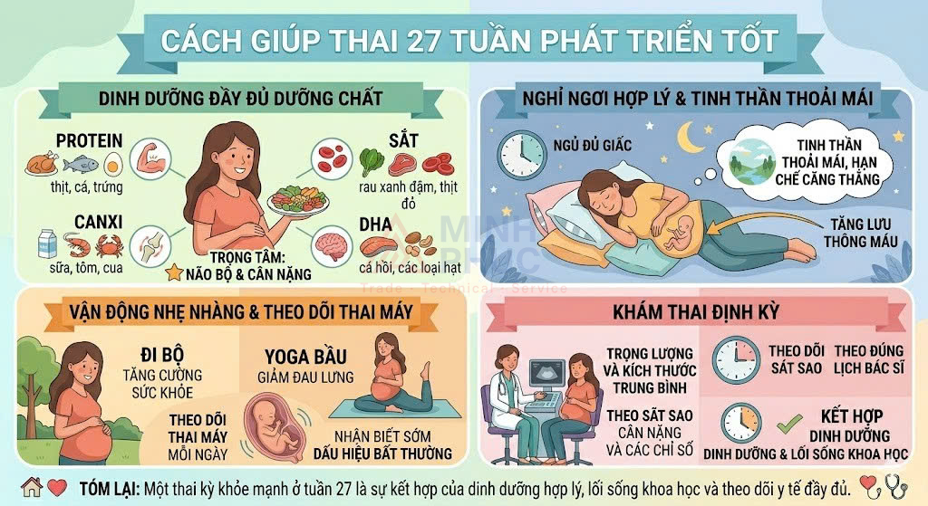thai 27 tuần