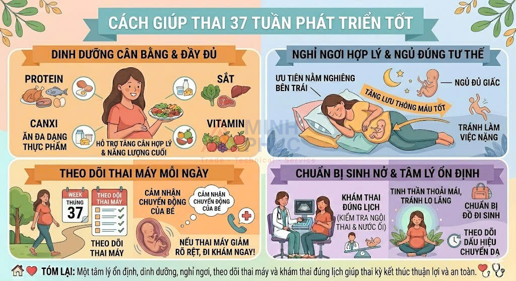 thai 37 tuần