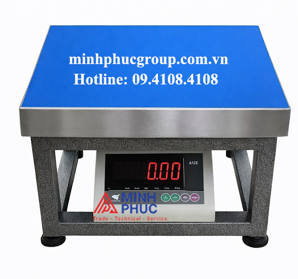 cân điện tử 500kg