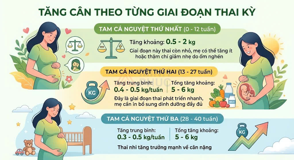 cân nặng chuẩn của mẹ bầu