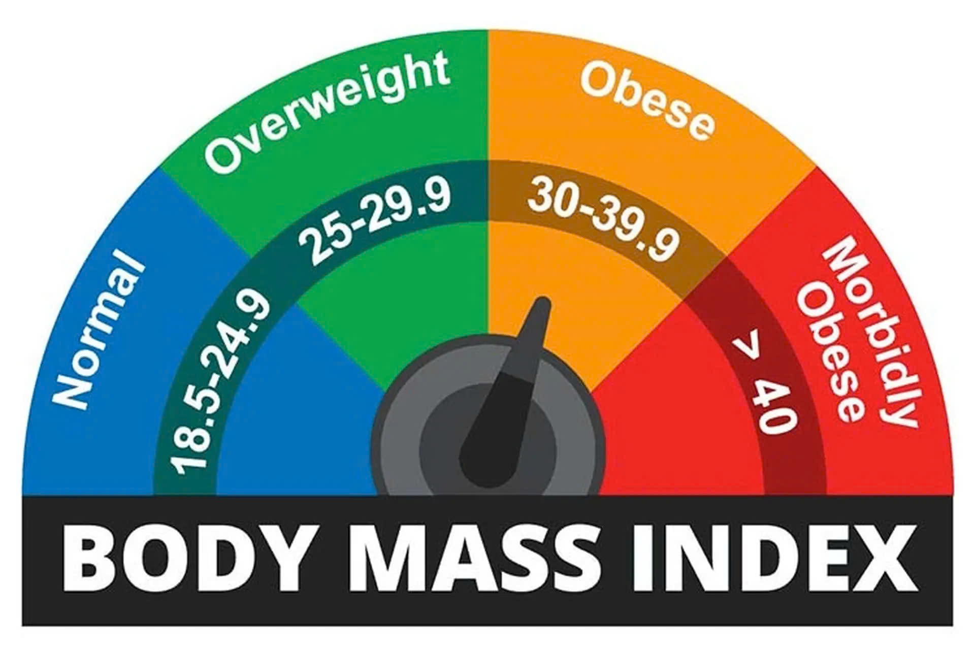 chỉ số bmi​