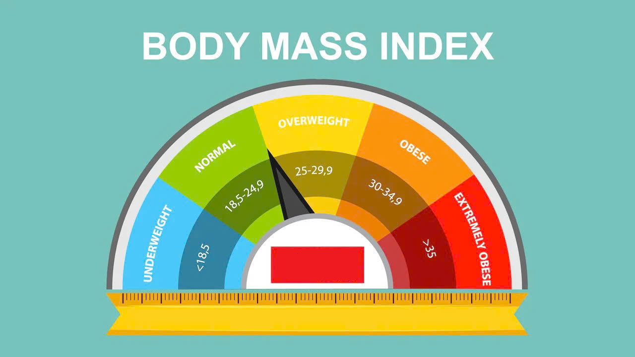 chỉ số bmi​