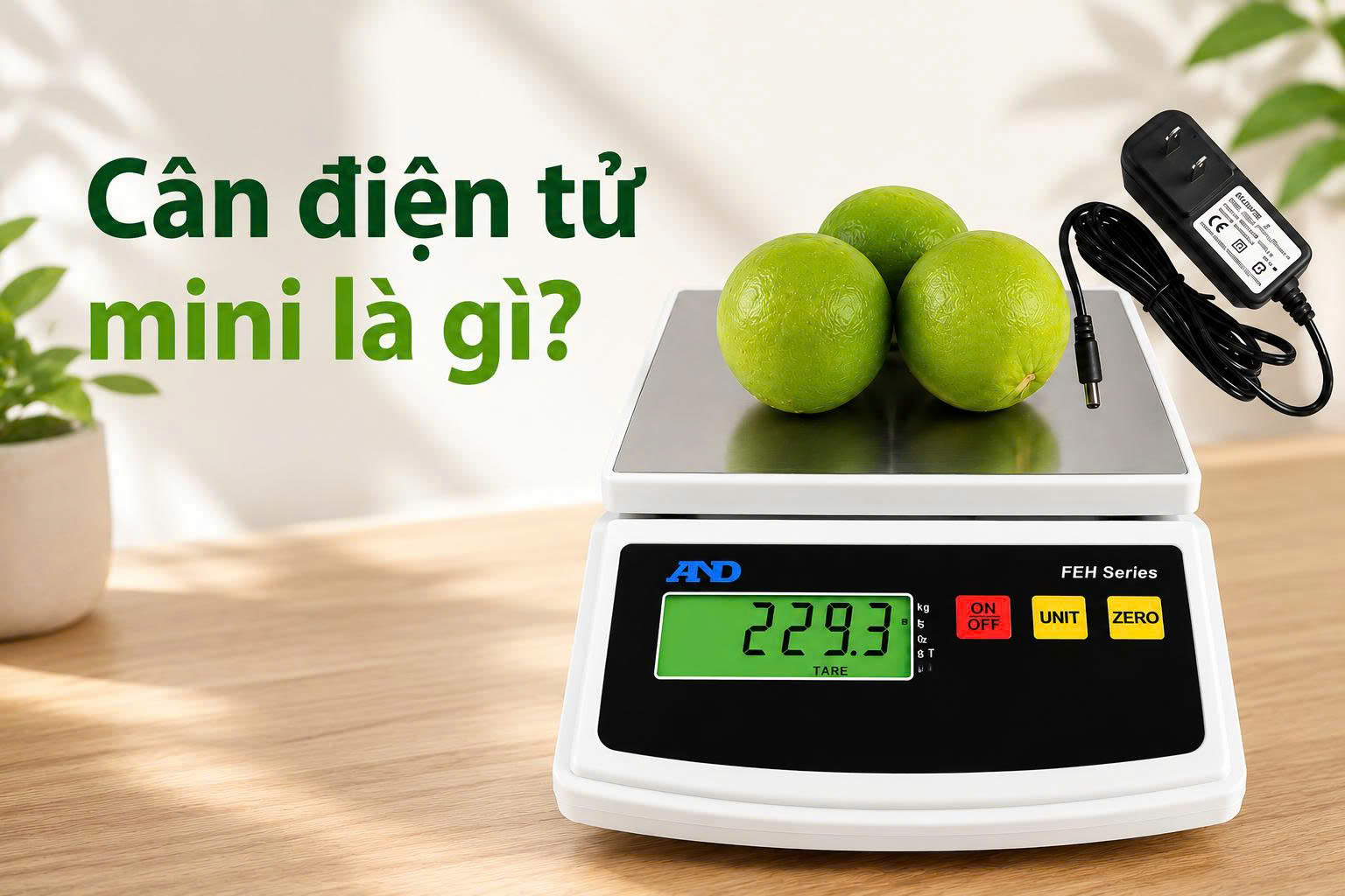 cân điện tử mini