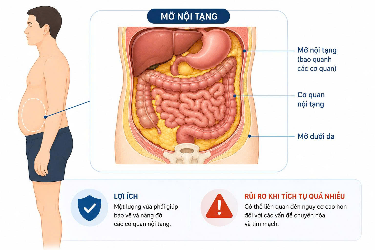 tỷ lệ mỡ cơ thể