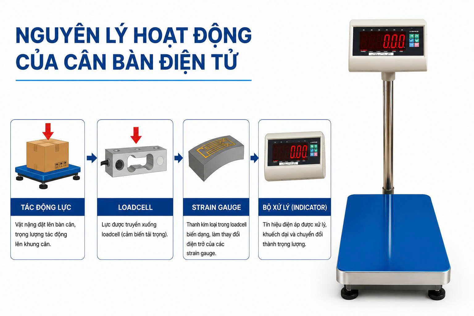 cân bàn điện tử