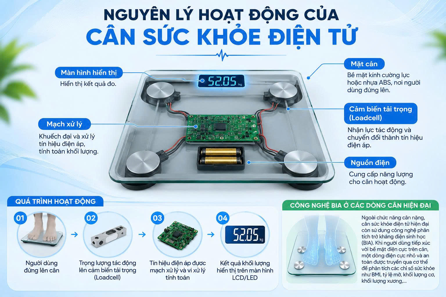 cân sức khỏe điện tử