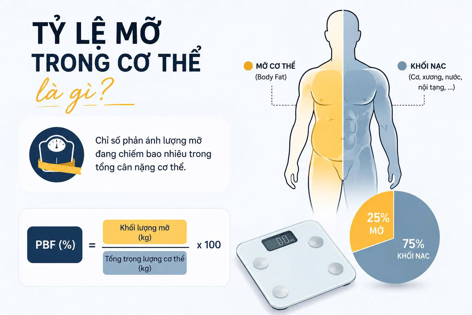 tỷ lệ mỡ cơ thể