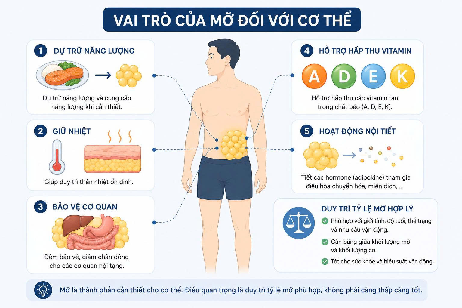 tỷ lệ mỡ cơ thể