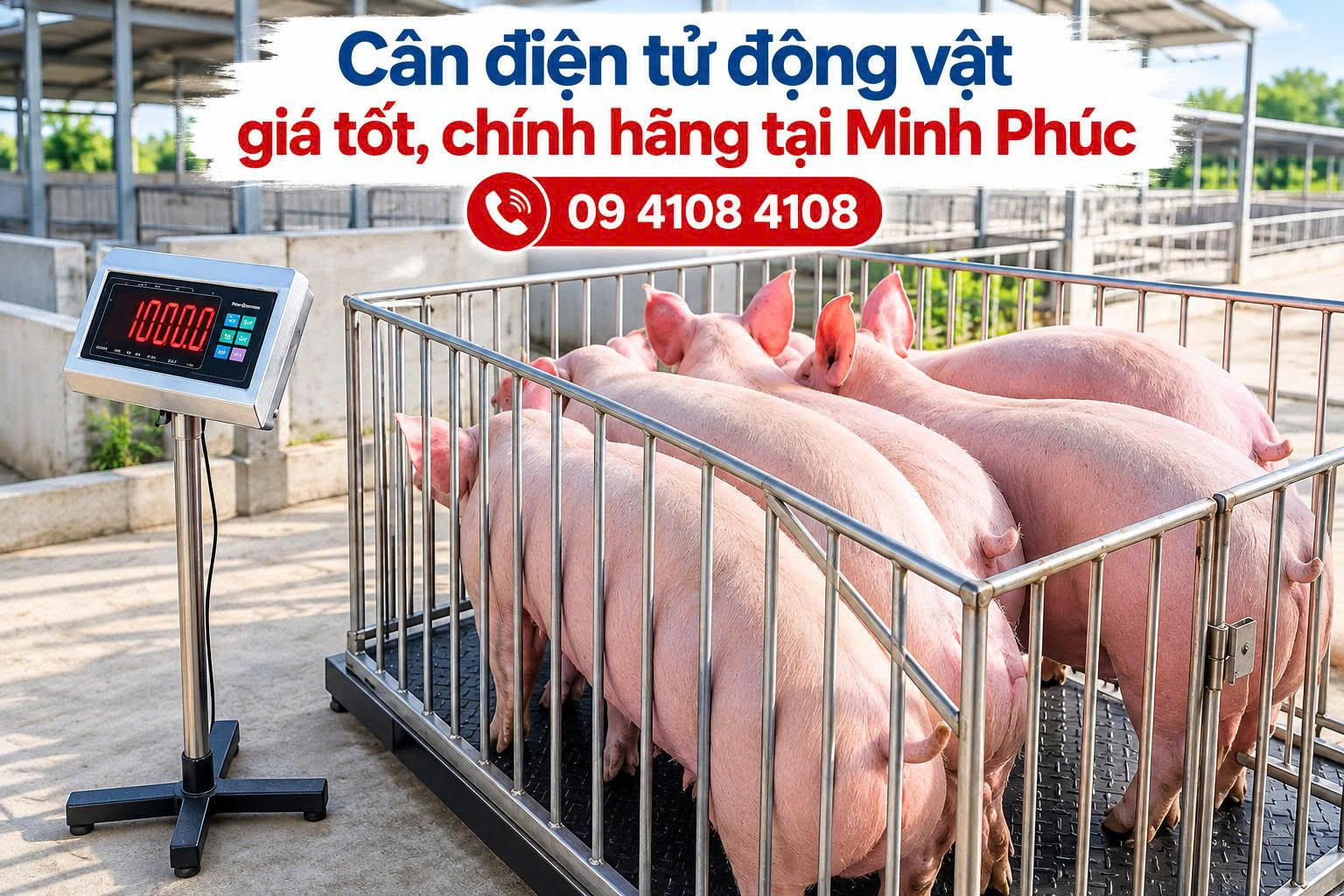 cân điện tử An Giang